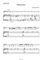 undefined Joel Brandenstein - Willkommen