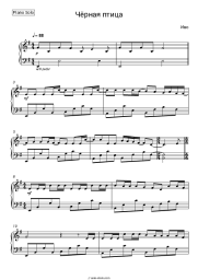 undefined Ivo - Черная птица