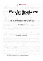 undefined The Cinematic Orchestra - Wait for Now/Leave the World