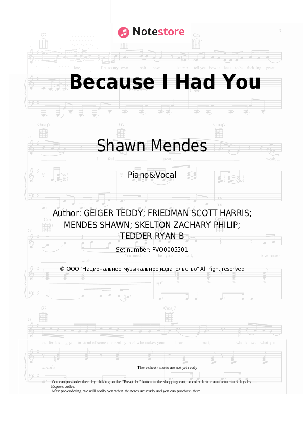 Because I Had You - Shawn Mendes Piano Sheet Music with the Voice part - Piano&Vocal