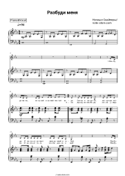 undefined Night snipers, Diana Arbenina - Разбуди меня