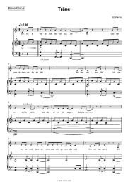 Sheet music, chords SOPHIA - Trane